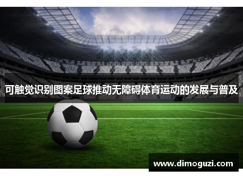 可触觉识别图案足球推动无障碍体育运动的发展与普及